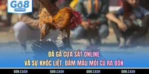 Đá Gà Cựa Sắt Online Và Sự Khốc Liệt, Đẫm Máu Mỗi Cú Ra Đòn