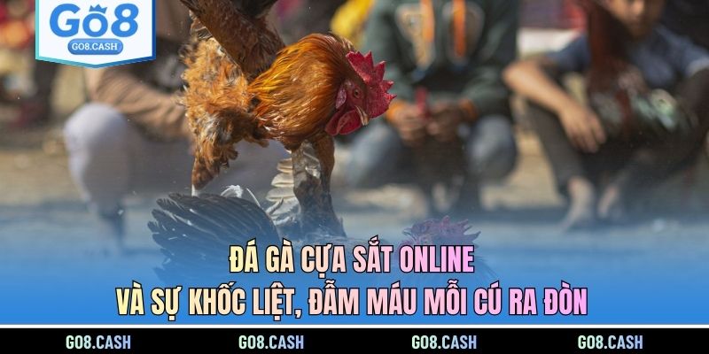 Đá Gà Cựa Sắt Online Và Sự Khốc Liệt, Đẫm Máu Mỗi Cú Ra Đòn