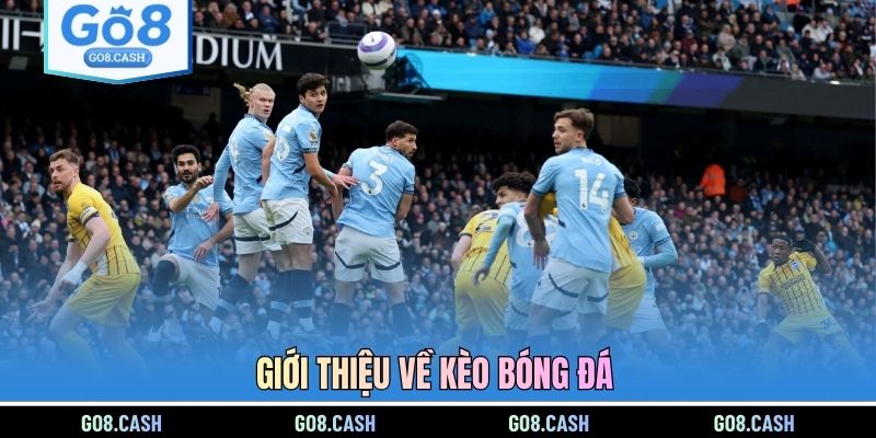 Giới thiệu về kèo bóng đá